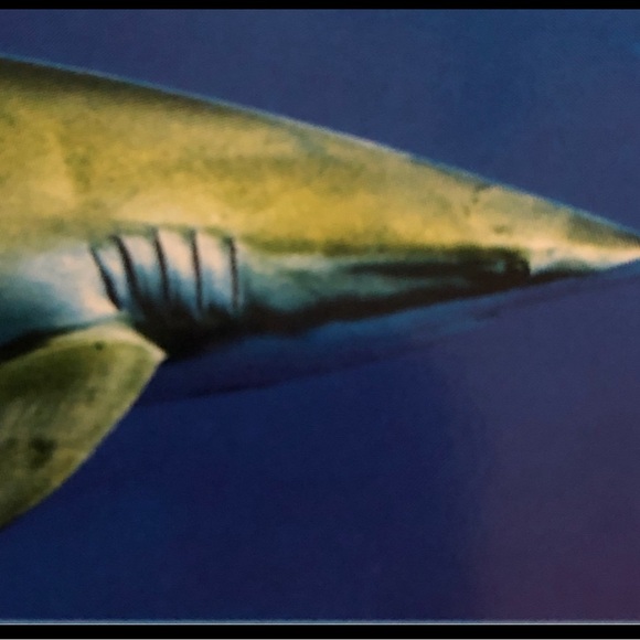 IMAX Theaters High definition 3-D Blu-Ray Sharks 2005 DVD 
Excellent condition - Picture 5 of 6